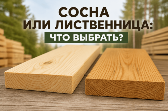 Сосна или лиственница: что выбрать для дома, бани и террасы