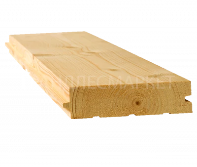 фото Европол